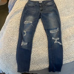 Salvage Denim jeans